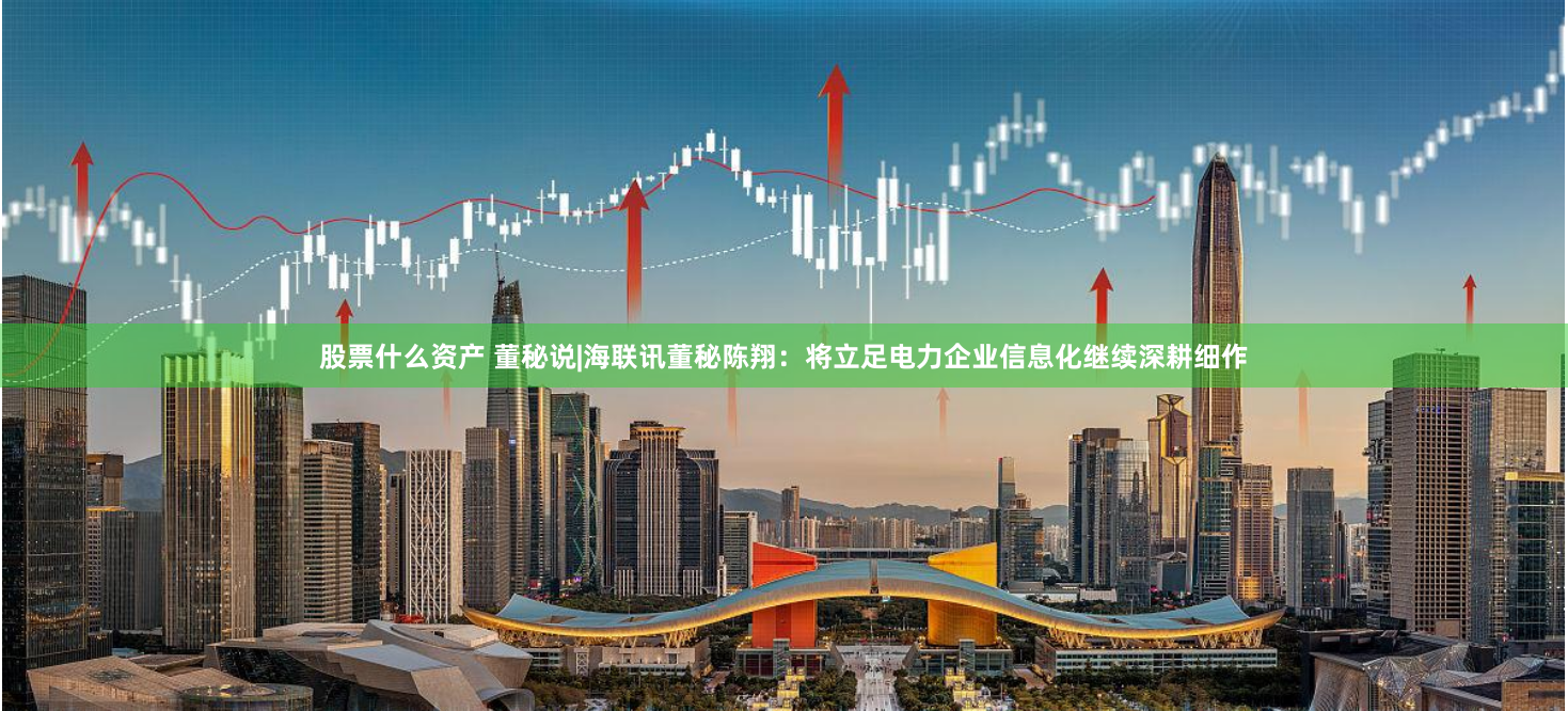股票什么资产 董秘说|海联讯董秘陈翔：将立足电力企业信息化继续深耕细作