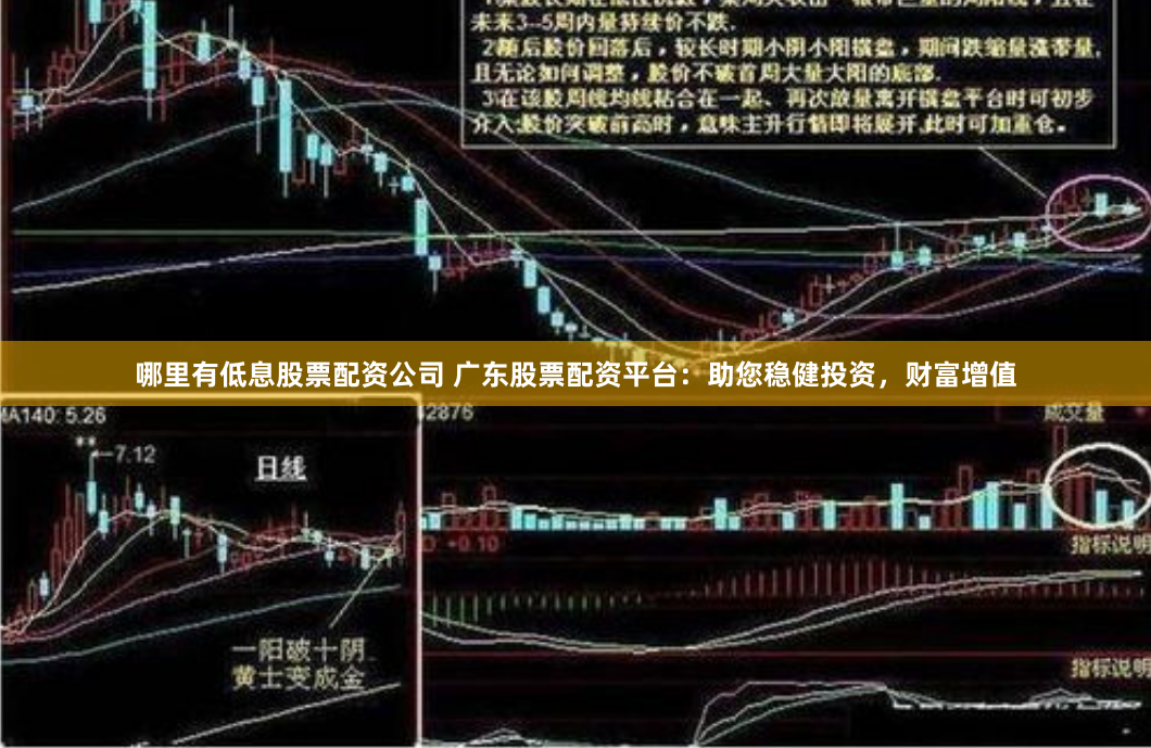 哪里有低息股票配资公司 广东股票配资平台：助您稳健投资，财富增值
