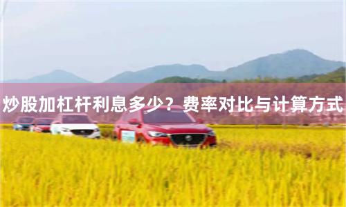 炒股加杠杆利息多少？费率对比与计算方式